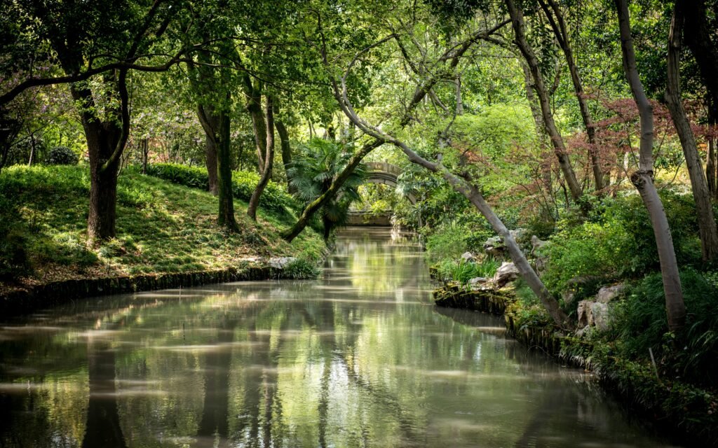 Peaceful forest stream with lush greenery and arched stone bridge.